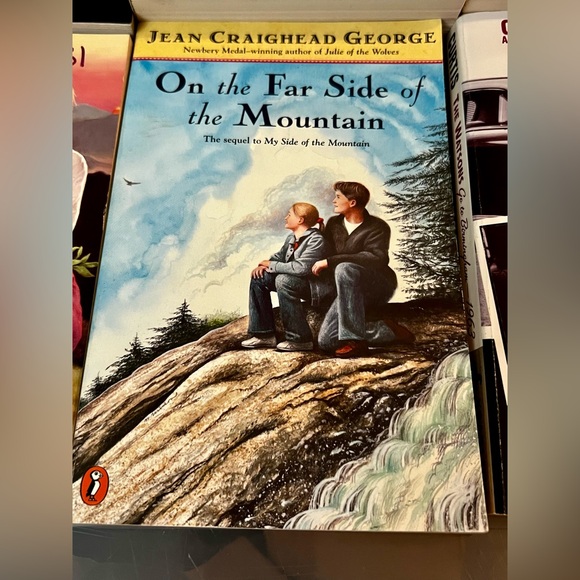 Fiction Book Lot of 6 Ice Fire Fire Star Chapter Like New Juvenile School - Picture 8 of 9